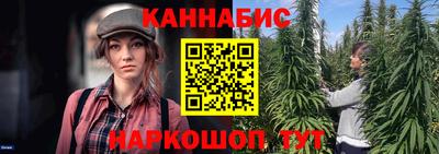 сатива Анжеро-Судженск