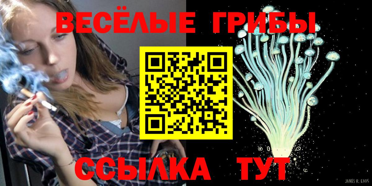 Псилоцибиновые грибы Magic Shrooms  Галлюциногенные грибы прущие грибы  где купить   Великий Устюг  Вход с VPN 