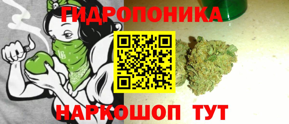 Бошки марихуана White Widow  МАРИХУАНА семена  Великий Устюг  Вход с VPN  Шишки марихуана Ganja 