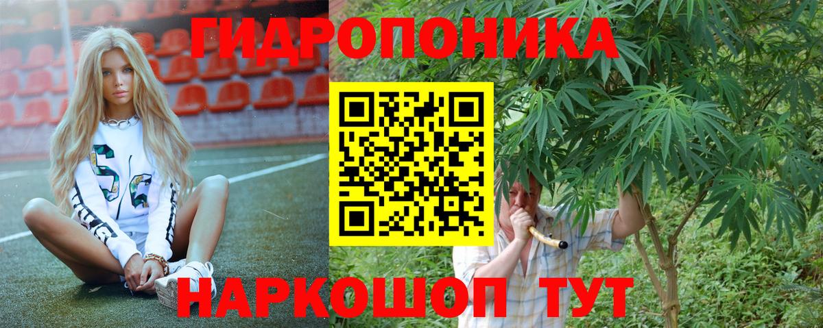Канабис гибрид Великий Устюг
